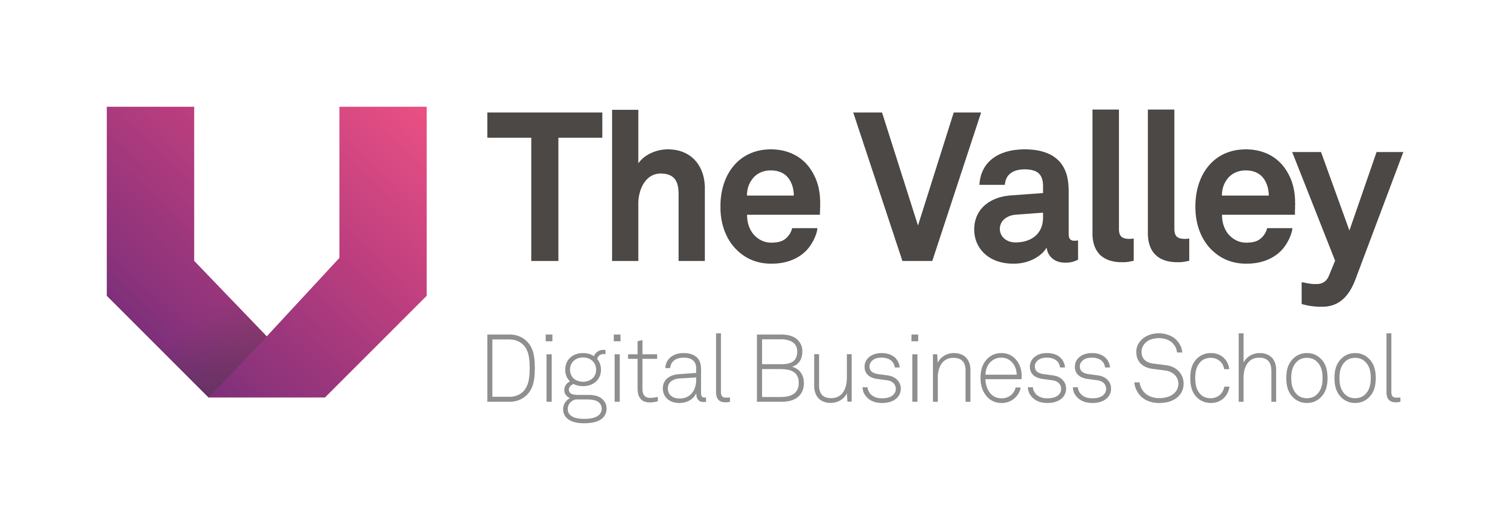 logo-the-valleyDBS_horizontal-1
